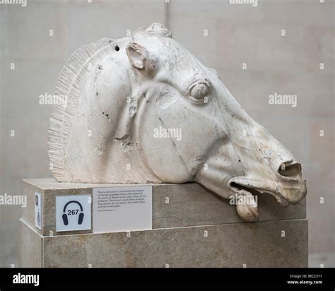 London. England. British Museum, Parthenon sculptures aka Elgin Marbles. Sculpture of the head ...