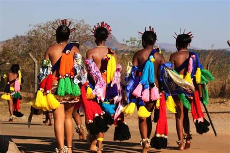 Reed Dance South Africa Here Is Everything You Need To Know About It