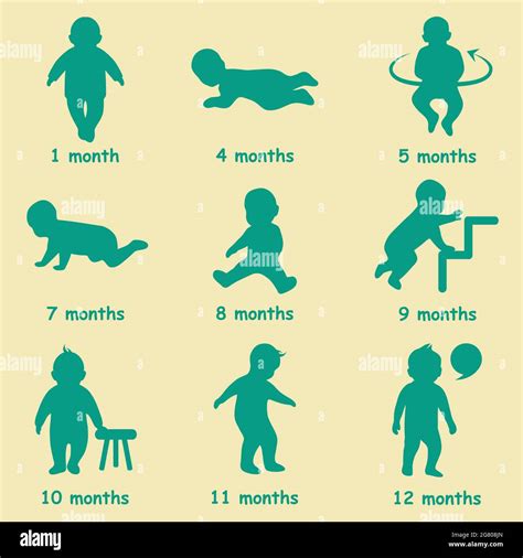 Human Growth And Development Chart