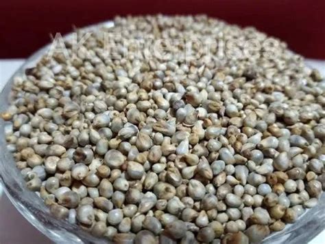 Natural Bajra Seeds Pearl Millet For Food Processing Packaging Type