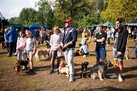 Toruńskie schronisko świętuje 30 lecie Szykuje się wielki piknik z