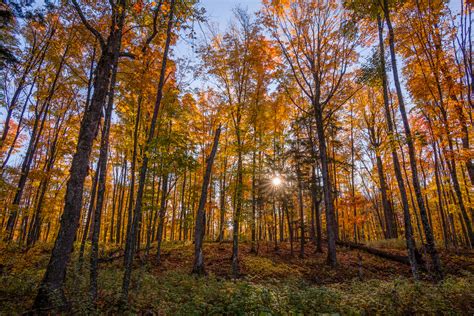 Northwoods In Autumn Shutterbug