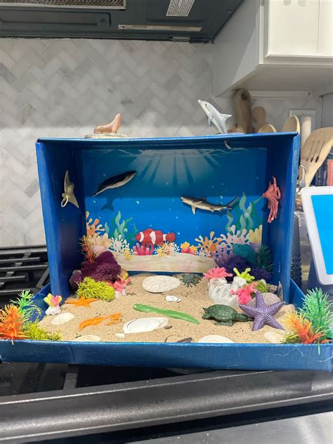 Discover The Fascinating World Of Sea Life Ocean Diorama Project