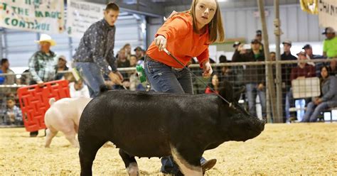 Bee County Livestock Show Schedule Of Events
