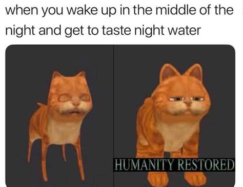 Thots Are Temporary And Still Wont Fuck You Water Cares R Worldpolitics