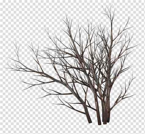 TWD Dead Bushes Leafless Trees Transparent Background PNG Clipart