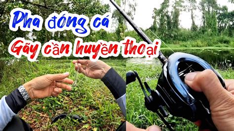 Nổ cần bulawa huyền thoại Câu cá lóc rừng U Minh Thượng