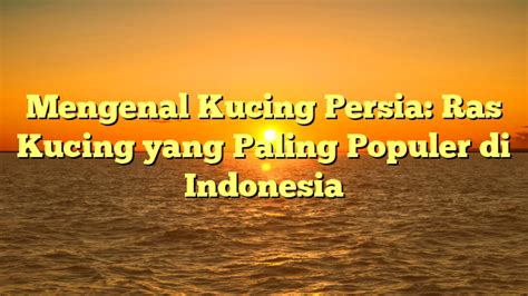 Mengenal Kucing Persia Ras Kucing Yang Paling Populer Di Indonesia