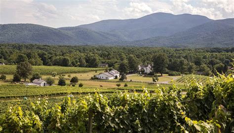 Top Wineries to Visit This Fall in Virginia - Fredericksburg