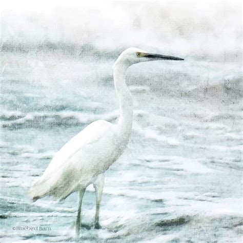 Coastal Heron Canvas Print by Bluebird Barn | iCanvas