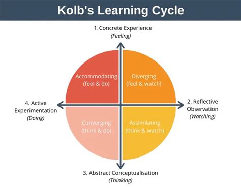 Kolb S Learning Cycle Team Management Training From EPM