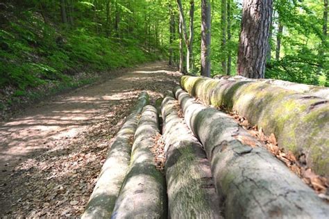 Teufelstisch Ausflugsziel Wanderung im Pfälzerwald People Abroad