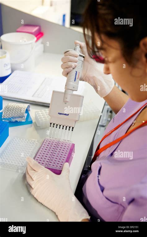 Preparing Samples For DNA Sequencing Genomics Unit DNA And RNA