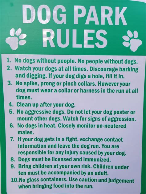 The all... - Partridge Brook Dog Park - Salisbury MA