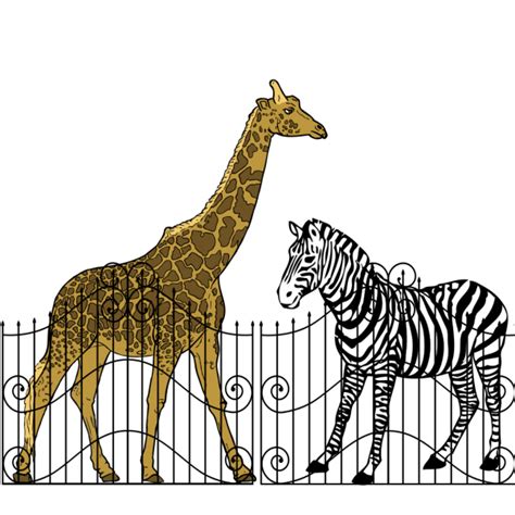 Zoo Animals PNG, SVG Clip art for Web - Download Clip Art, PNG Icon Arts