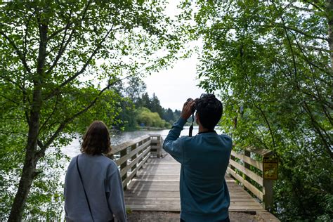 Langford The BC Bird Trail Look Up Stay Grounded