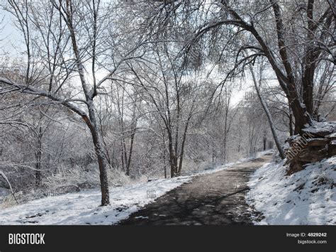 Snow Park Image & Photo (Free Trial) | Bigstock