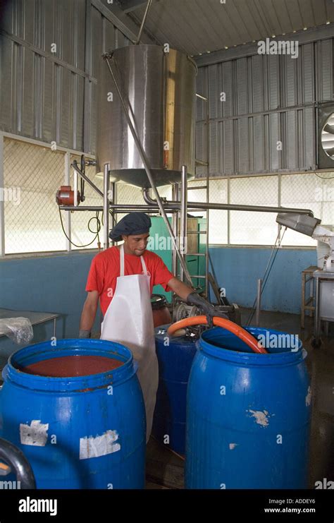 Marie Sharp Hot Sauce Factory Stock Photo Alamy