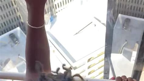 Penthouse View Happy Birthday Free Sex Video RedTube