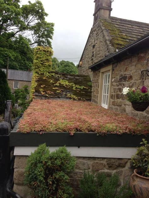 Green Roof Baslow Quality Flat And Fibre Roofing Services In