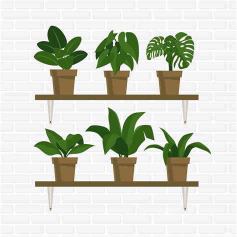 Potted Plants Vector Art At Vecteezy