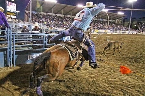 Tie-Down Roping