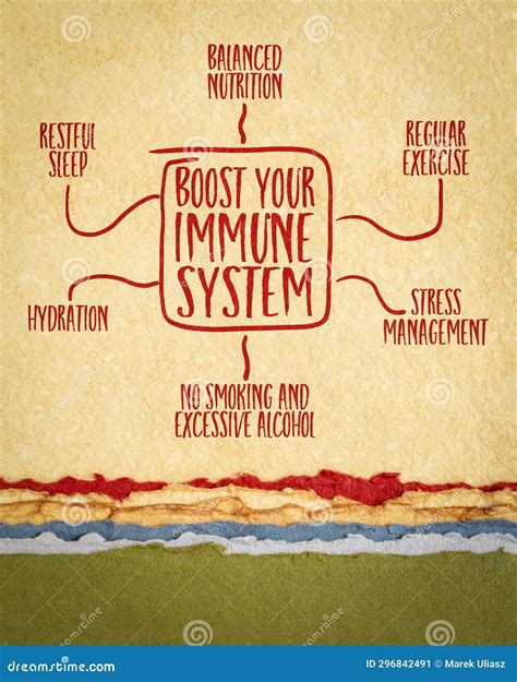 Exploring Immune System And Lifestyle Changes