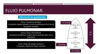 Fisiologia Pulmonar Guyton Introducci N Pptx Ppt