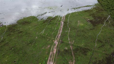 Aerial view of green pasture affected by rainy season floods. Top view