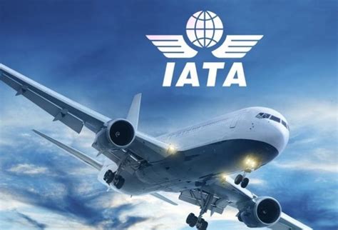 Iata Demanda De Pasajeros A Reos Internacionales Aument Un En