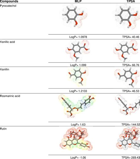 Molecular lipophilicity potential (MLP) and topological polar surface... | Download Scientific ...