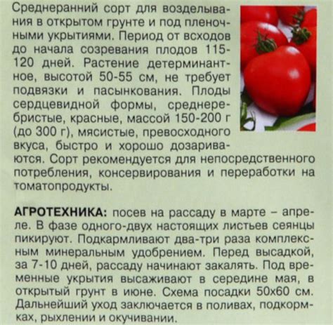 Низкорослые томаты для открытого грунта без пасынкования