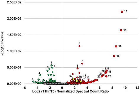 Volcano Plot Of Protein Abundance Changes During Peak Infection At Moi