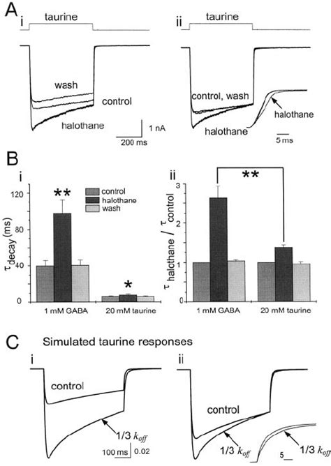 Effect Of Halothane On The Response To The Low Affinity Agonist Taurine