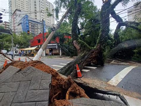 巴西圣保罗州暴雨导致2人死亡 多个航班被取消 山体 总台 报告