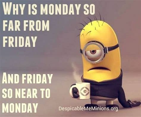 Happy Monday Meme Funny Its Monday Pics And Images