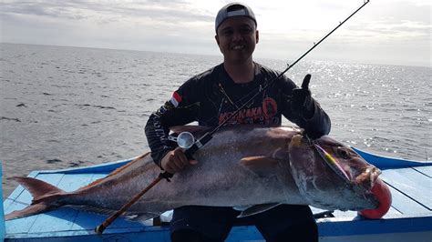 Mancing Jigging ‼️rekor Terbaru 2023 Amberjack Kebo 47kg ‼️jigging