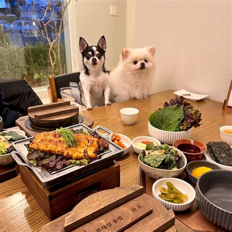 반려생활 애견동반 부산여행 기장 애견 동반 맛집 추천 칠암만장칠암사계조개구이 하진이네