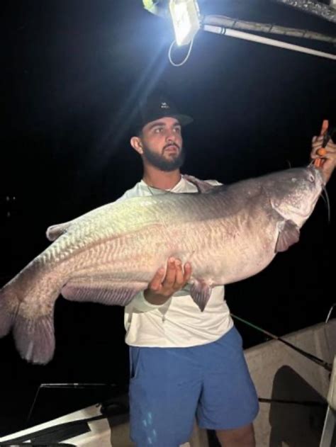 Massive Blue Catfish Breaks State Fishing Record By 4 Ounces