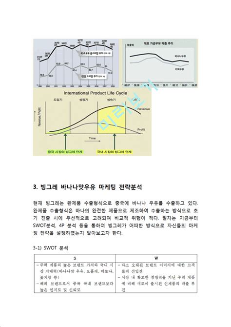 빙그레 바나나맛우유 마케팅전략분석과 바나나우유 중국시장진출 전략및 바나나맛우유 새로운 전략제안경영경제레포트