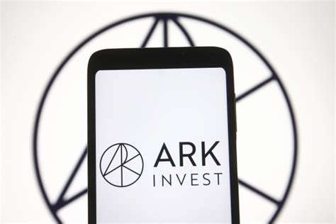 캐시 우드의 아크ark Etf 1월에 최고 성적 기록 블록체인투데이