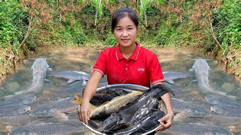 Harvest CATFISH Go To The Market Sell Gardening Cooking Ella