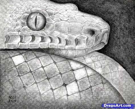 Cobra Snake Head Realistic Snake Drawing Easy - Snake Drawing