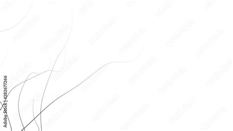 minimalist background in graphic nature style - black on white (FULL HD ...