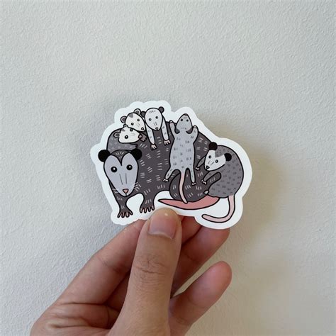 Cute Opossums Sticker Baby Animals Cute Animal Sticker Vinyl Sticker