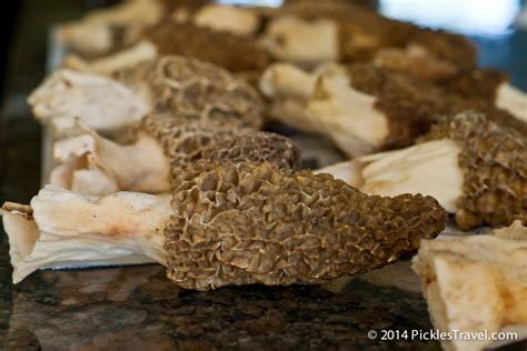 How To Cook Morel Mushrooms Fried At John Lee Blog