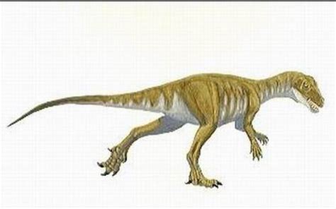 Staurikosaurus Pictures & Facts - The Dinosaur Database