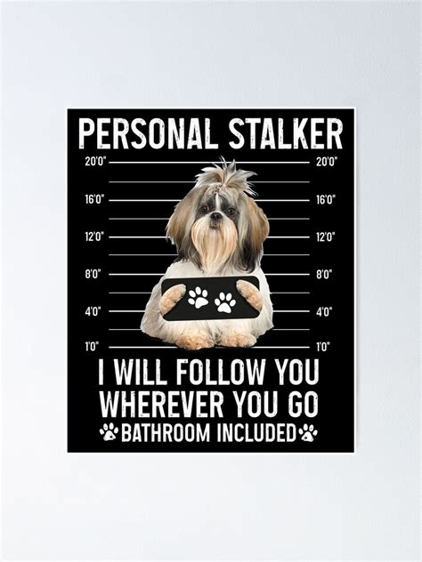 "Personal Stalker Dog, Shih Tzu, Funny Shih Tzu Puppies memes, Shih Tzu Owner Gifts, Poodle ...