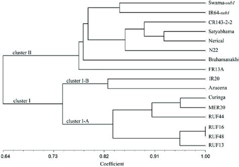 Unweighted Pair Group Method With Arithmetic Means Upgma Dendrogram