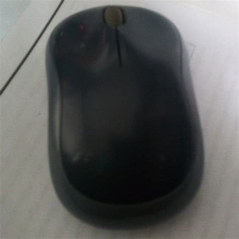 mouse dodolanku